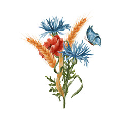 Ears of wheat and poppies, cornflowers and butterfly. A bouquet, a composition of ears of corn and field poppies, a blue butterfly. Wheat isolated on white background. Design for sticker, postcard.