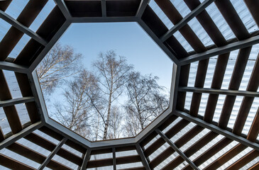 View of the trees in the forest through the hole in the roof of the gazebo.
