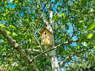 Nichoir pour abriter les oiseaux du jardin accroché dans un arbre vert au printemps © Oli_of_the_valley