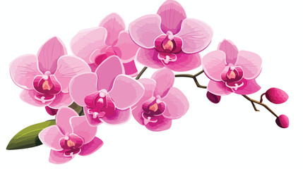 Fototapeta na wymiar Pink orchid isolated flat vector isolated on white background