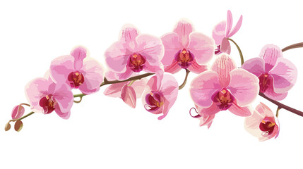 Naklejka na ściany i meble Pink orchid isolated flat vector isolated on white background