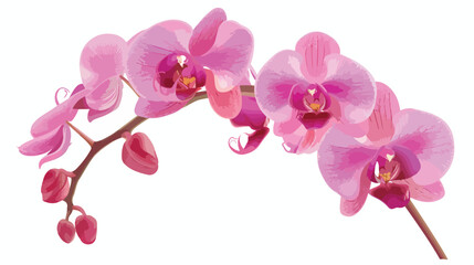 Pink orchid isolated flat vector isolated on white background