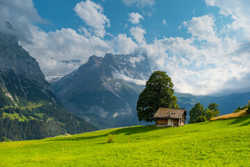 View on the alpine valley Grindelwald. Jungfrau, Switzerland. Under the Bernese alps. Mountain village.