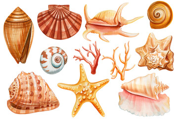 Set Seashells, coral, starfish isolated background, watercolor illustration hand drawing painting, summer sea clipart - 787156079