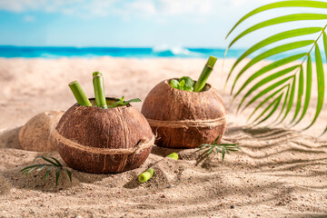 Fresh and tasty pinacolada in coconut on a tropical island.