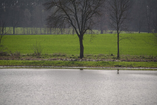 POOL IN THE FIELD - Sunny weather in the early spring landscape