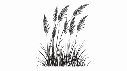 Reeds plant vector isolated grayscale icon - obrazy, fototapety, plakaty