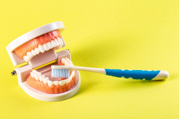 Children's toothbrush with soft bristles in the oral cavity of a dental jaw mockup on a yellow background. The concept of dental care and hygiene for children in dentistry. Copy space for text