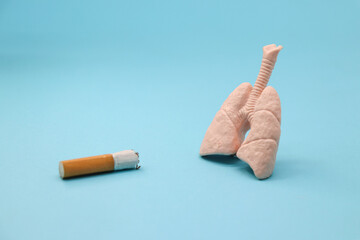 Cigarette and human lungs on blue background. Concept of pumonary problems due to tobacco.