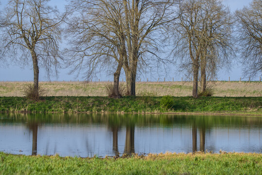POOL IN THE FIELD - Sunny weather in the early spring landscape