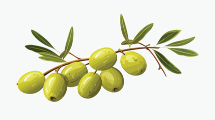Ripe fruits on a branch. Flat image of green olives white - obrazy, fototapety, plakaty