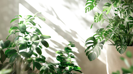 Tropical leaves pattern with monstera and palms - A vibrant pattern of tropical leaves featuring monstera, palms, and other greenery, ideal for backgrounds