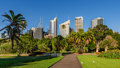 Fototapeta na wymiar Sydney, Australia – Sydney skyline viewed from Royal Botanic Gardens in the evening sun