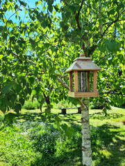 Mangeoire en bois avec graines pour oiseau dans un jardin sous un arbre vert au printemps