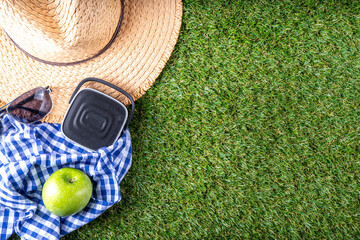 Spring, summer picnic, outdoor recreation background. A woman's straw hat, a picnic blanket or tablecloth, sunscreen spray, an apple on a background of green artificial grass or lawn, copy space - 787167022
