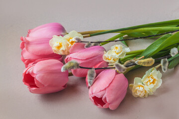 Spring bouquet of tulips, daffodils and willow branches on a gray background.