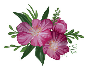 Obraz premium Set of flowers