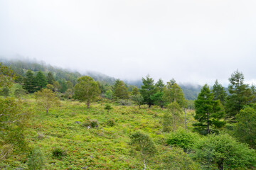 日本の長野県の観光地「八ヶ岳」の写真。霧の山のイメージ。