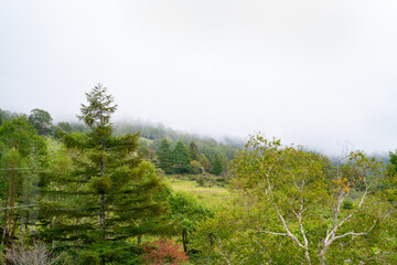 Obraz na płótnie Canvas 日本の長野県の観光地「八ヶ岳」の写真。霧の山のイメージ。