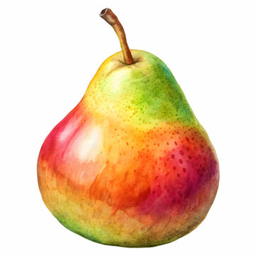 pear fruit pick colourful