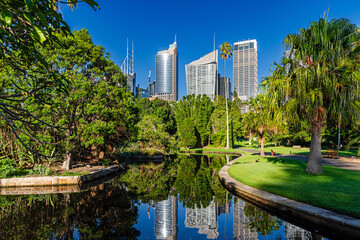 Sydney, Australia – Sydney skyline viewed from Royal Botanic Gardens in the evening sun