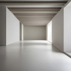 Elegance in Symmetry: Modern Minimalist Corridor