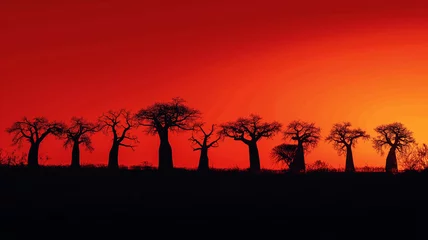 Keuken foto achterwand A line of trees are silhouetted against a red sky © CtrlN