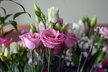 colorful roses in a vase