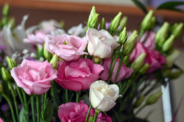 colorful roses in a vase