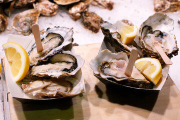 fresh oysters close-up at the local market. delicacy
