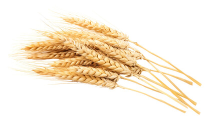 PNG Wheat ears wheat food white background