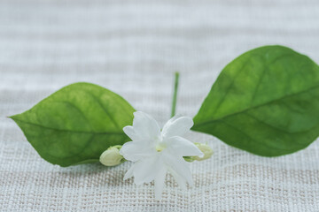 Beautiful Jasmine flower on the table - 787178484