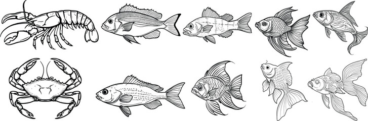 Set of sea animals, vector illustration.