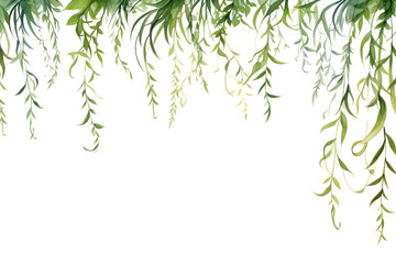 PNG Grass element border plant herbs tranquility