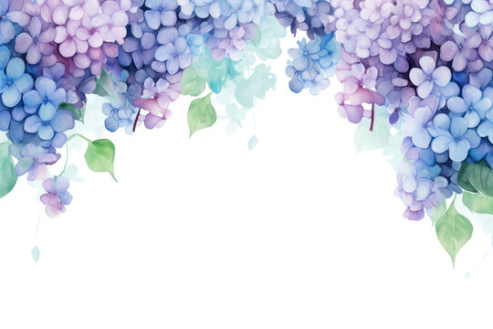 PNG Hydrangea border painting flower nature