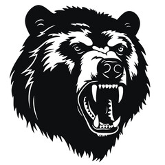 Growling bear head isolated on white background. Vector illustration