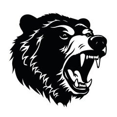 Vector roaring bear isolated on white background. Furious bear head