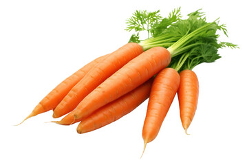 PNG  Carrots vegetable plant green