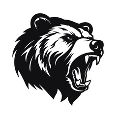 Vector roaring bear isolated on white background. Furious bear head