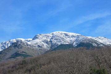 Snowy mountain top with spring snow and a lot of vegetation with thawing