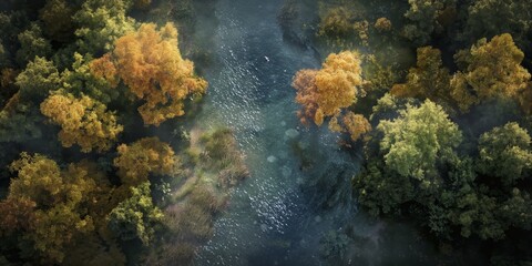 Fototapeta na wymiar Lush aerial view of a river meandering through a forest with trees in Autumn hues, showcasing a peaceful landscape