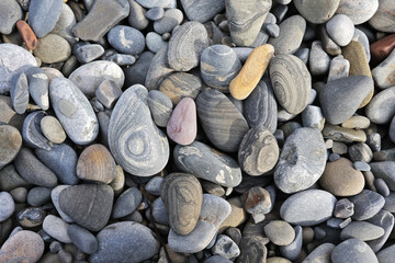 stone texture for background. Multi-colored sea stones from various rocks and minerals.