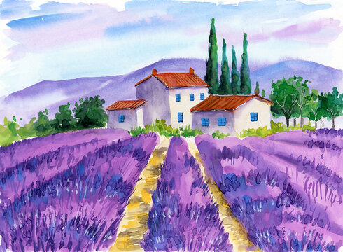Watercolor illustration of a purple lavender field with a distant streak of trees on the horizon and a small white cottages (This illustration was drawn by hand without the use of generative AI!)