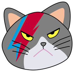 Grey cat  character , lightning face. 
 flat design. Vector illustration