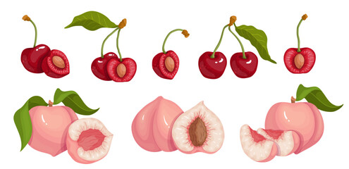 Set of ripe, juicy peach and red cherry fruits.Vector graphics.