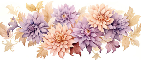 a many flowers that are on a white background