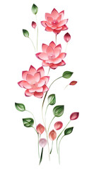 PNG Lotus flower pattern petal. 