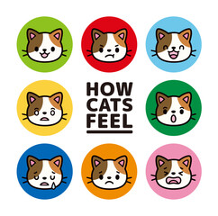 Cute cat character face icon set