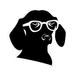 Dachshund Dog Head Potrait Vector on a White Background