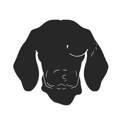 dachshund silhouette vector illustration
